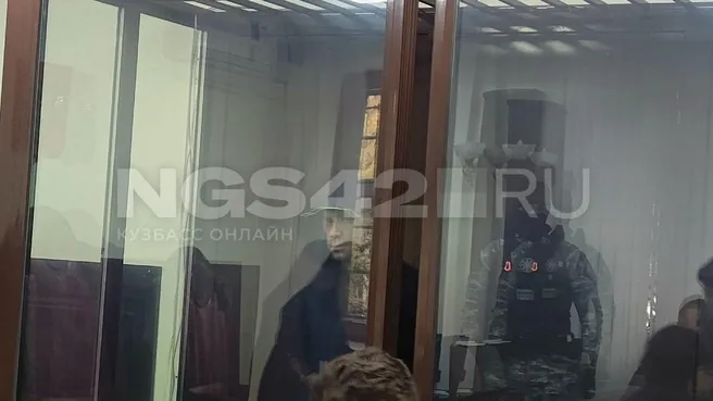 Экс-гендиректора «Северного Кузбасса» отправили под домашний арест