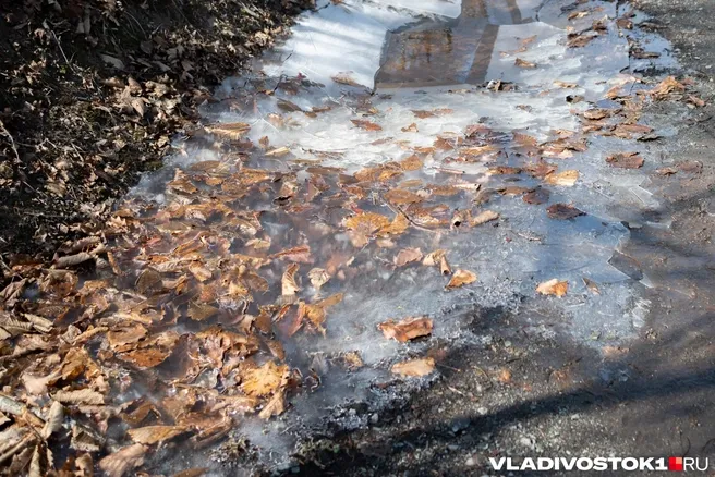 Гололедица и первый снег спровоцировали серию ДТП в Кузбассе
