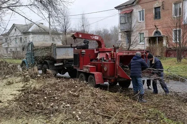 В Предзаводском вырубили заросли клёна на нескольких улицах