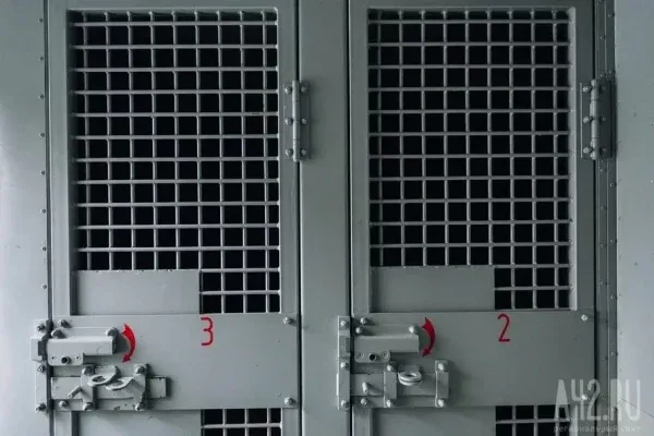 В Кемерове арестованы двое обвиняемых в диверсии на железной дороге